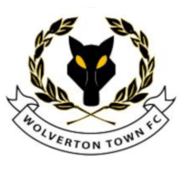 Wolveton Town Badge 1